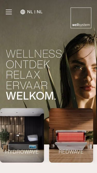 Screenshot of wellsystem.nl