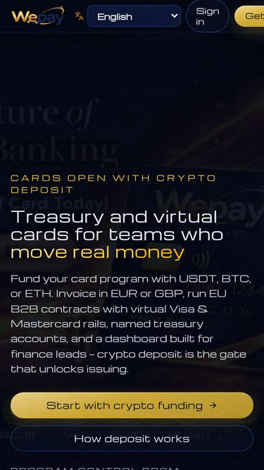 Screenshot of wepay.buzz
