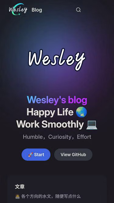 Screenshot of wesley.net.cn