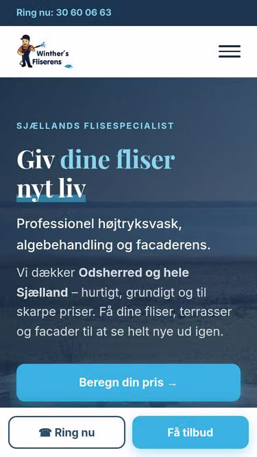 Screenshot of wfr.dk
