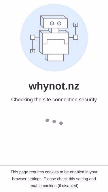 Screenshot of whynot.nz