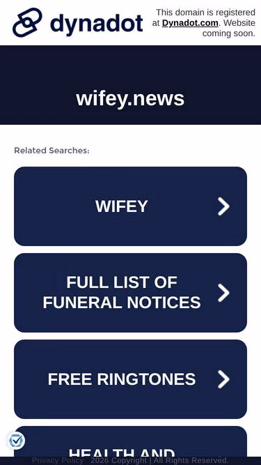 Screenshot of wifey.news