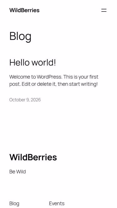 Screenshot of wildberries.cl
