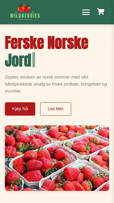 Screenshot of wildberries.no