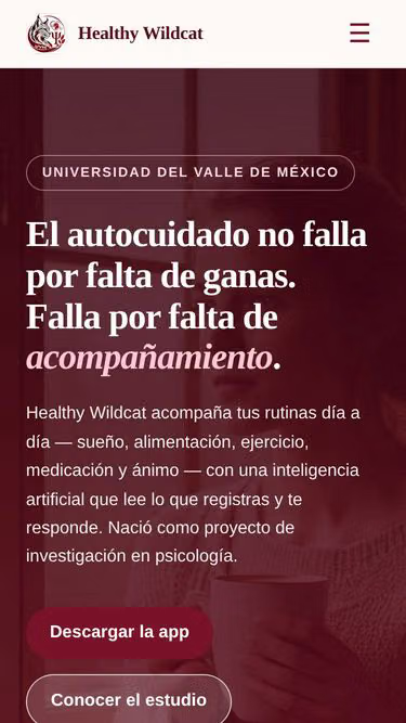 Screenshot of wildcat.com.mx