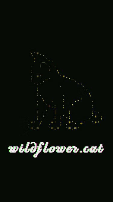 Screenshot of wildflower.cat