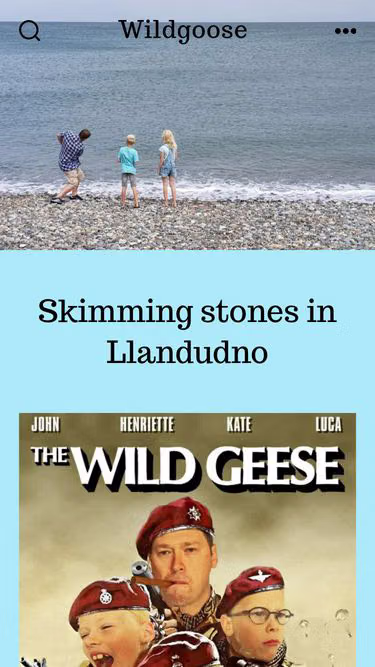 Screenshot of wildgoose.nl