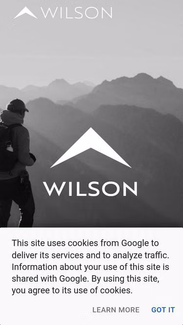 Screenshot of wilson.aero