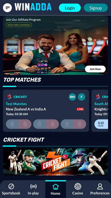 Screenshot of winadda.ai