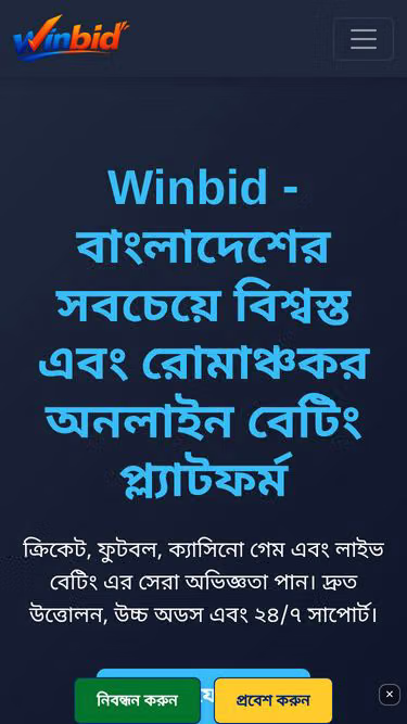 Screenshot of winbid.bet