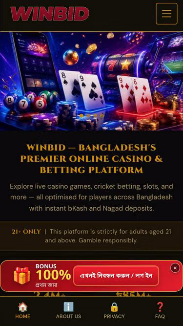 Screenshot of winbid.lat