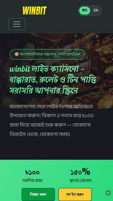 Screenshot of winbit.cam