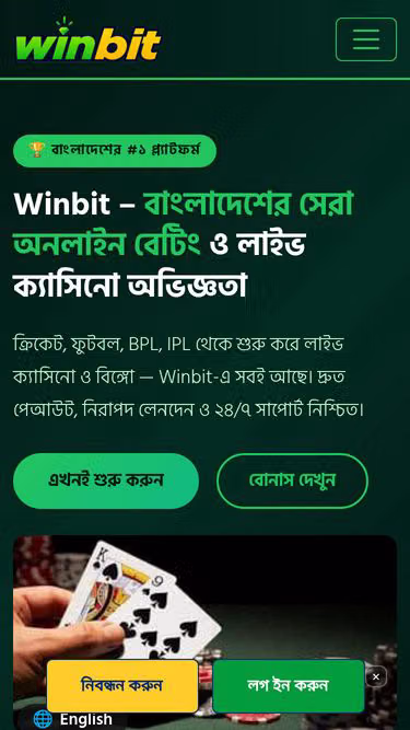 Screenshot of winbit.vin
