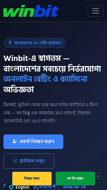 Screenshot of winbit.vu