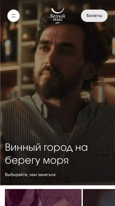 Screenshot of wine.ru