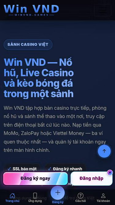 Screenshot of winvnd.games