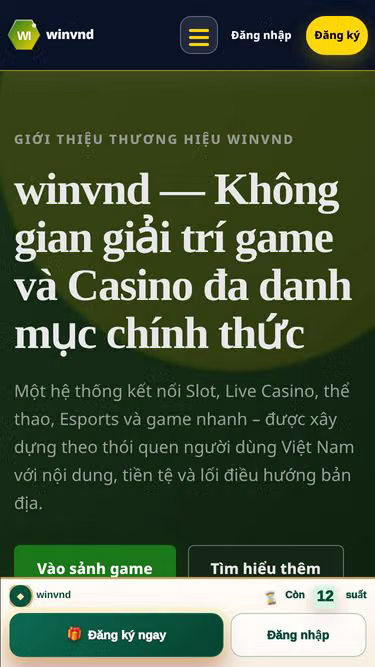 Screenshot of winvnd.icu
