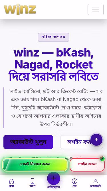 Screenshot of winz.asia