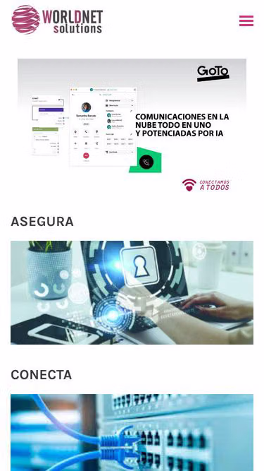 Screenshot of wns.com.mx