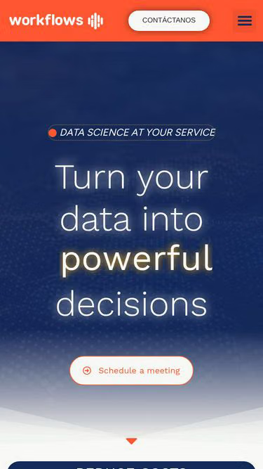 Screenshot of workflows.com.mx