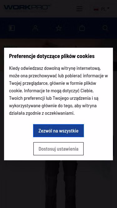 Screenshot of workpro.pl