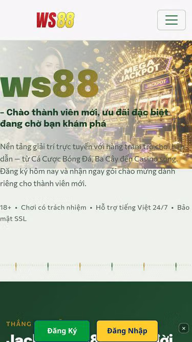 Screenshot of ws88.lat
