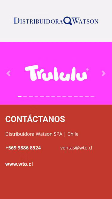 Screenshot of wto.cl