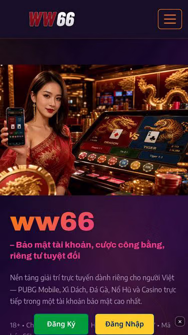 Screenshot of ww66.cam