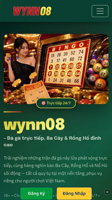 Screenshot of wynn08.cam