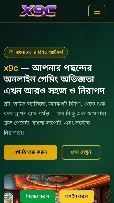Screenshot of x9c.org