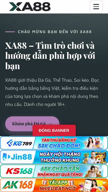 Screenshot of xa88.site