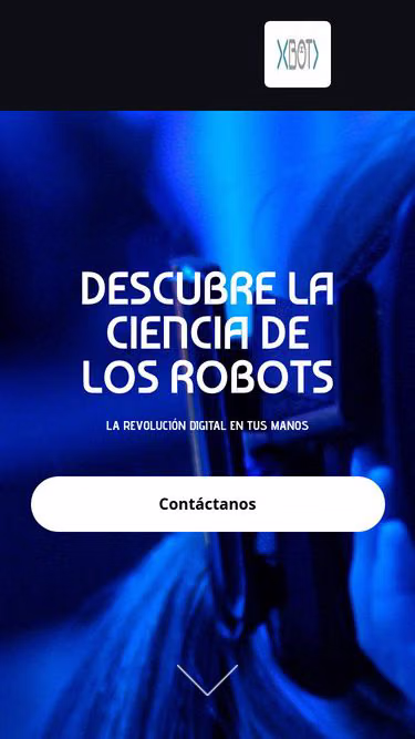 Screenshot of xbot.com.mx