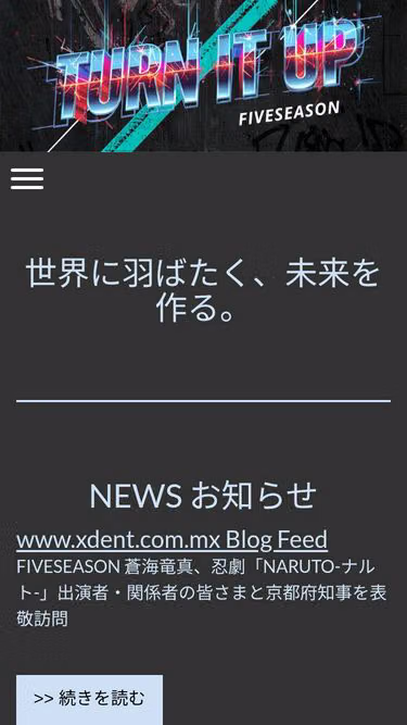 Screenshot of xdent.com.mx