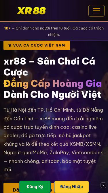 Screenshot of xr88.bio