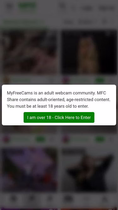 Screenshot of xvideo.com