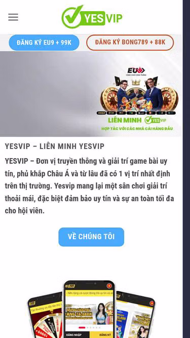 Screenshot of yesvip.org