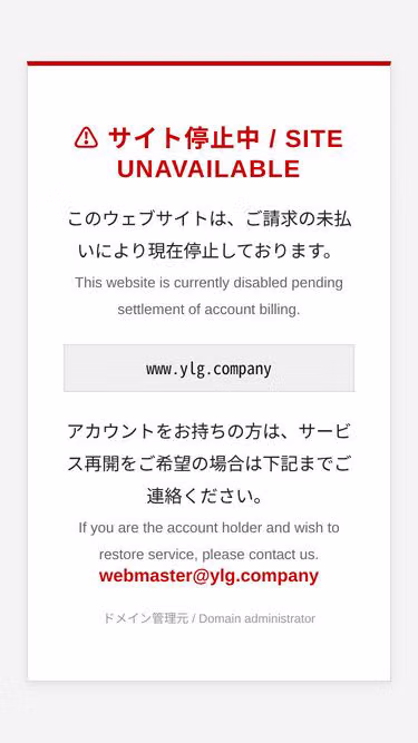 Screenshot of ylg.company