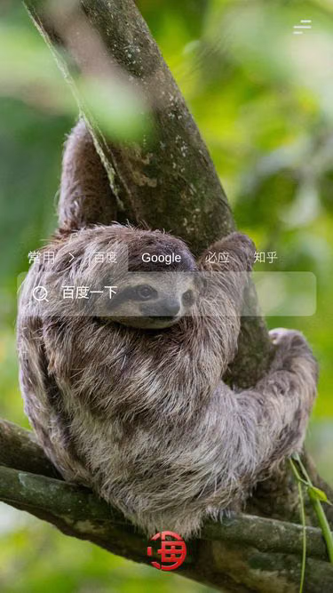 Screenshot of yyzb.top