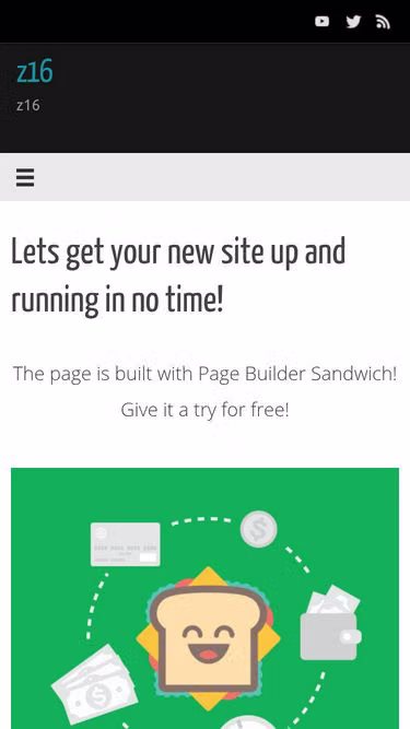 Screenshot of z16.pro