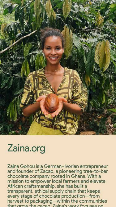 Screenshot of zaina.org