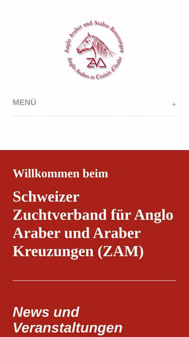 Screenshot of zam.ch