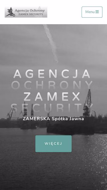 Screenshot of zamex.pl