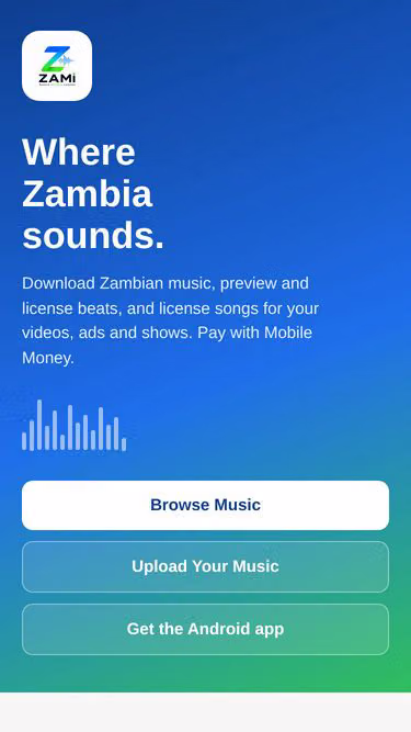 Screenshot of zami.site