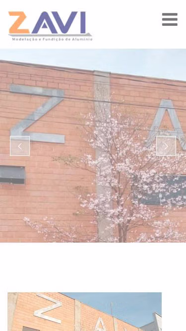 Screenshot of zavi.com.br