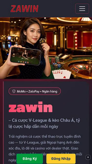 Screenshot of zawin.bar