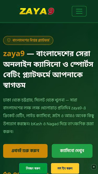 Screenshot of zaya9.biz