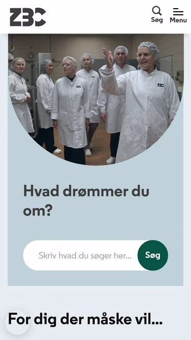 Screenshot of zbc.dk