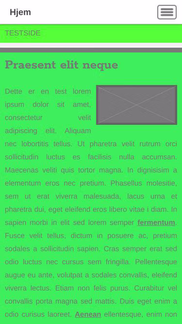 Screenshot of zec.no