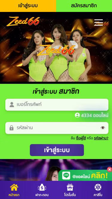 Screenshot of zeed66.cc