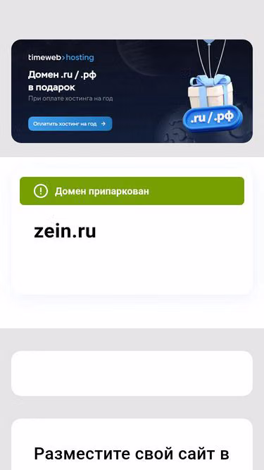 Screenshot of zein.ru
